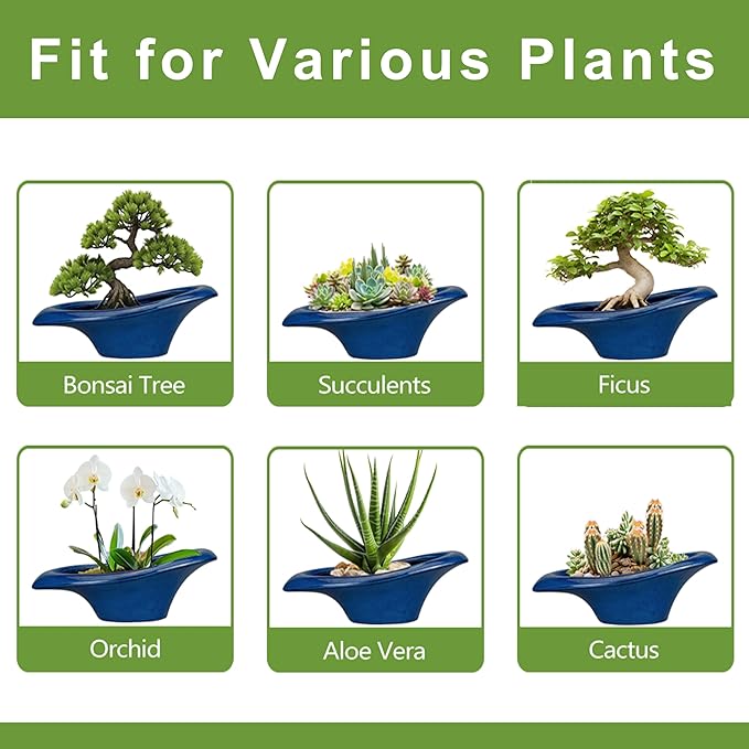 Teagas Bonsai Tree Pot 18 Inch - Ceramic Succulent Pots Large Bonsai Planter for Indoor Outdoor Plants Decorative Plant Pot with Drainage Hole Flower Pot for Home Garden Room Decor Blue