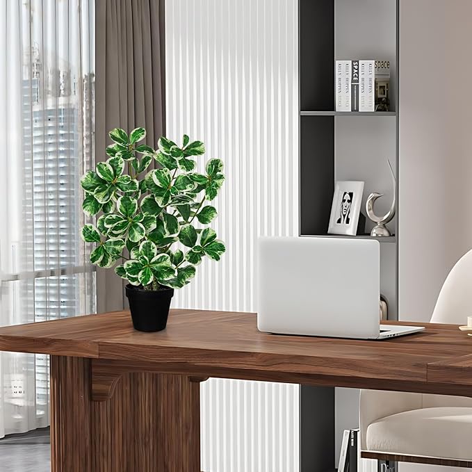 20" Artificial Rubber Tree Plant in Black Pot, Faux Ficus Tree Plant Potted with Cream White Edge Leaves, Fake Greenery Plant for Home Office Tropical Decor