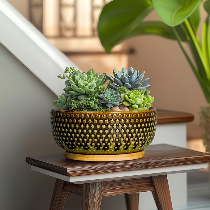 EPFamily Bonsai Pots 8 Inch - Ceramic Planter for Indoor Plants, Succulent Pots with Drainage Hole and Plant Tray, Modern Round Decorative Flower Planters, Home Decor, Brown & Green