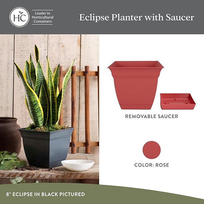 The HC Companies 8 Inch Eclipse Square Planter Pots with Drainage Holes & Attached Saucer, Lightweight UV-Resistant Plastic Indoor Outdoor Planters, 4-Pack Flower Pots for Garden & Home Decor, Rose