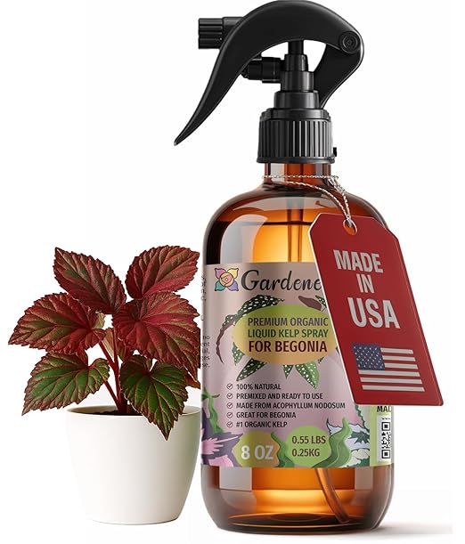 GARDENERA Professional Organic Liquid Kelp Spray for Begonia Plants - 8 oz - Ready-to-Use Fully Organic Seaweed & Kelp Fertilizer Mist