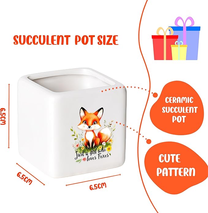 BJDAMAI Fox Succulent Planter Flower Plant Pot Small, Gifts for Women Teens Girls Kids, Fox Lovers Themed Stuff Accessories Things Decor Merch, Home Office Table Desk Decoration!