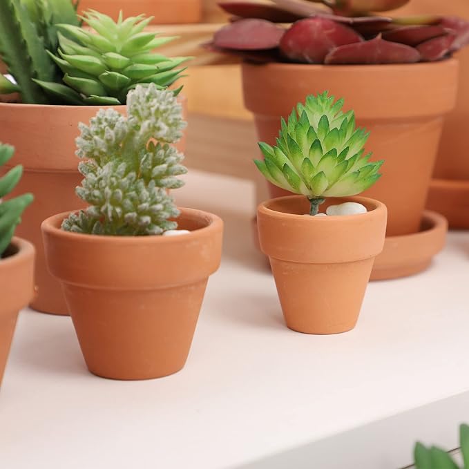 Yishang 1.9 Inch Tiny Terracotta Pots Pack of 36-Small Mini Clay Pots with Drainage Holes Flower Nursery Terra Cotta Planter for Tiny Cactus Herb lithop,Succulent Plants,Crafts,Wedding Favor