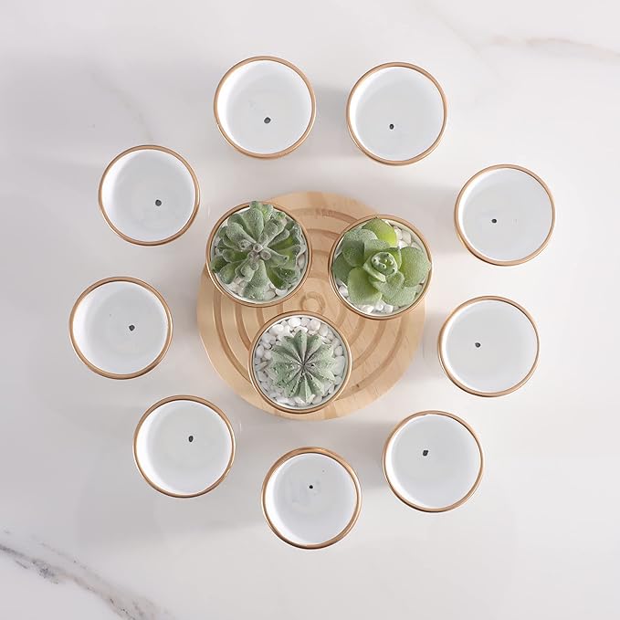 72 PCS Small Mini White&Gold Clay Pots with Drainage Holes,2.5inch Terra Cotta Pot Clay Ceramic Pottery Planter,Succulent Nursery Pot/Cactus Plant Pot,for Indoor/Outdoor Plants, Crafts, Wedding Favor