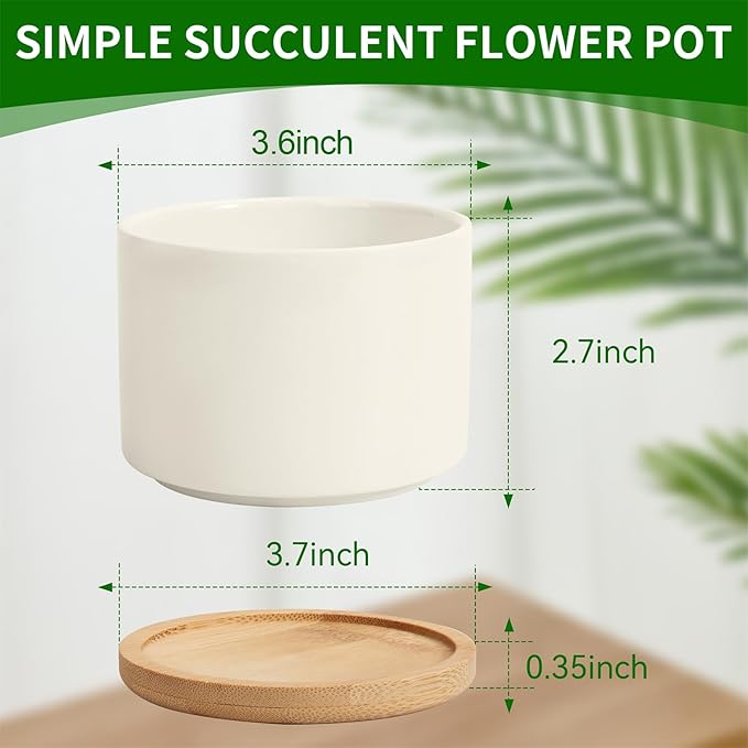 ZOUTOG Ceramic Succulent Pots 8 Pack,4 Inch Plant Pots,Succulent Planters with Drainage Hole & Bamboo Tray for Indoor Plants,White Small Flower Planters for Home,Office,Desk