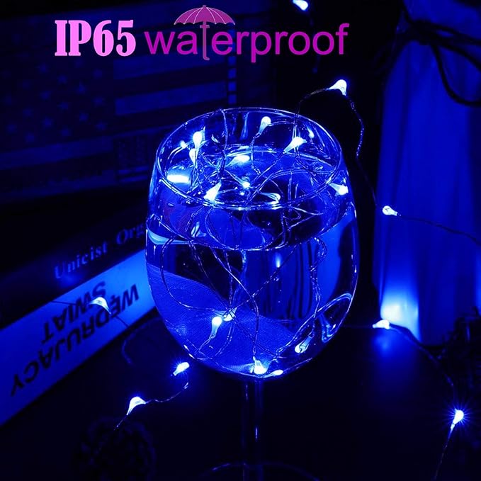 RUICHEN Silver Wire 66 Ft 200 LED USB Fairy String Lights with On/Off Switch (Blue)