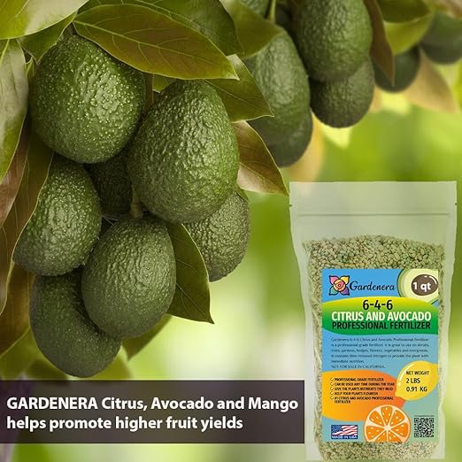 𝐁𝐄𝐒𝐓𝐒𝐄𝐋𝐋𝐄𝐑 6-4-6 Avocado Citrus Tree Plant Food for Outdoor/Indoor Gardening | Quick-Release Nitrogen Fertilizer | Orange, Lime, Avocado and Lemon Tree Fertilizer [8 OZ]