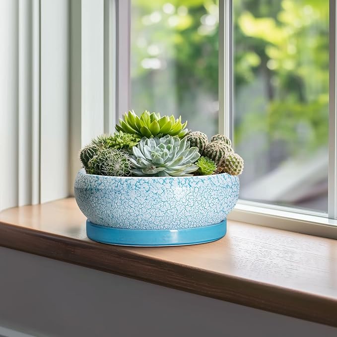 EPFamily Bonsai Pots 10 Inch - Shallow Ceramic Planters for Indoor Outdoor, Succulent Pots with Drainage Hole and Saucer, Round Planter Bowl, Succulent Planter, Garden Decor, Housewarming Gifts, Blue