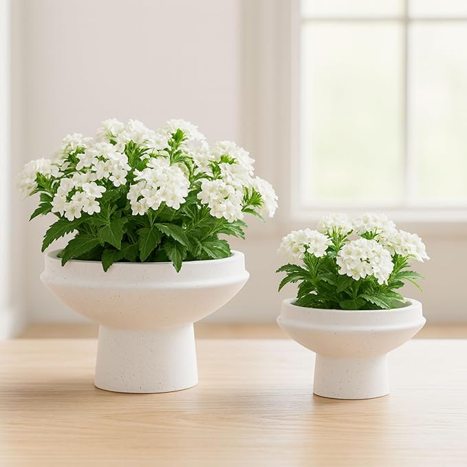 Set of 2 Decorative Planter Pots – Resin Cement Fiberglass Plant Holders with Contemporary Shapes – Indoor Outdoor Modern Garden Pots for Living Room, Entryway, or Patio – 8" & 6", White