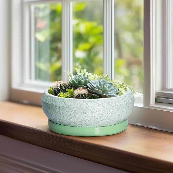 EPFamily Bonsai Pots Ceramic - 8 Inch Succulent Pots Indoor Outdoor, Shallow Planters with Drainage Hole and Tray, Ceramic Planter Bowl, Round Planter, Apartment Decor, Gifts for Plant Lovers, Green