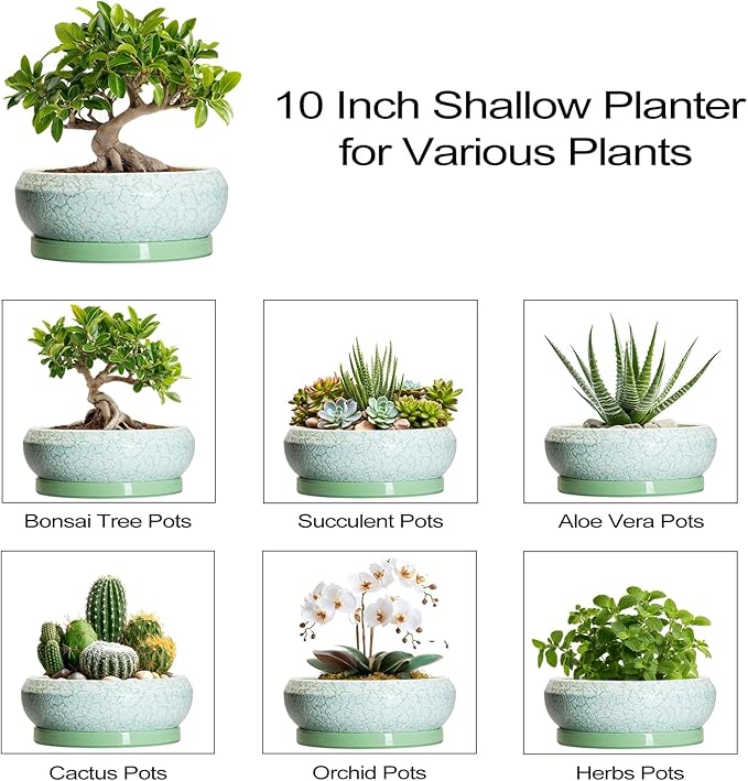 EPFamily Bonsai Pots - 10 Inch Ceramic Succulent Pot with Drainage Hole and Plant Saucer, Succulent Planters for Indoor Outdoor, Round Planter Bowl, Shallow Planter, Home Decor, Gardening Gift, Green
