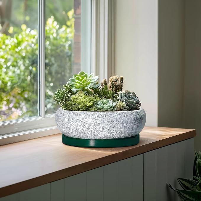 EPFamily Bonsai Pots 13 Inch - Shallow Ceramic Planter with Drainage Hole and Saucer, Round Succulent Pots for Indoor Outdoor, Large Succulent Planter, Apartment Decor, Gardening Gifts, Green