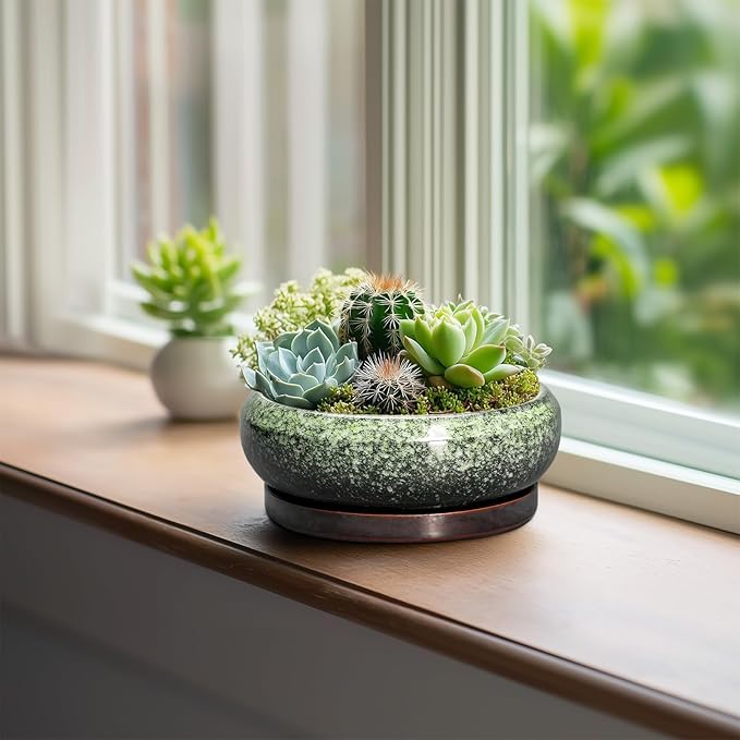 EPFamily Succulent Pots 6 Inch - Ceramic Bonsai Pots with Drainage Hole and Saucer, Succulent Planters for Indoor Outdoor, Small Shallow Planter, Round Cactus Pot, Room Decor, Plant Lover Gift, Green