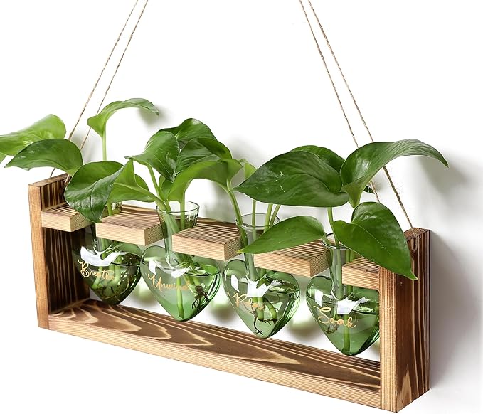 CYZglass Plants Propagation Stations Plant Terrarium Kit for Bathroom Glass Planters for Indoor Plants Bathroom Decor Accessories - Relax Soak Unwind Breathe