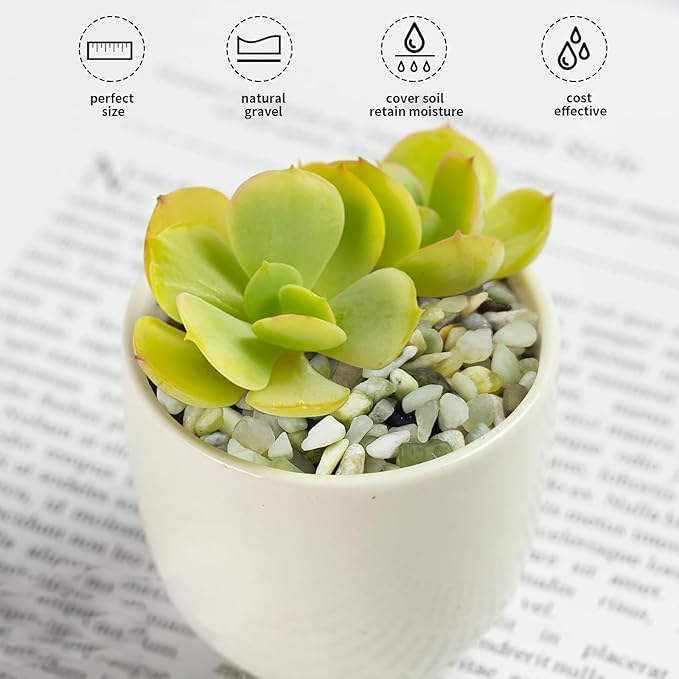 FANTIAN 5 lbs Jade Pebbles for Indoor Plants,1/4 inch Polished Gravel Rocks for Plants, Succulents, Cactus, Vases, Terrarium and Outdoor Gardening