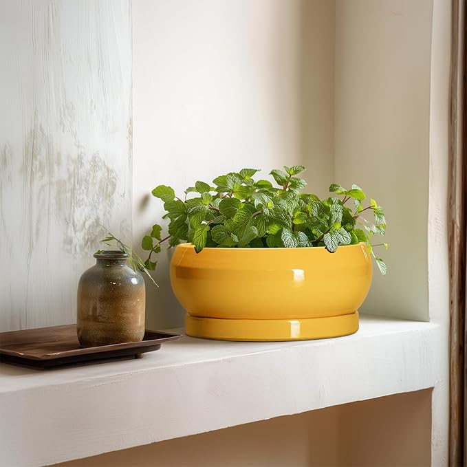 EPFamily Bonsai Pots - 8 Inch Ceramic Succulent Planter for Indoor Outdoor, Shallow Planters with Drainage Hole and Saucer, Round Modern Planter Bowl, Window Decor, Gifts for Plant Lovers, Yellow
