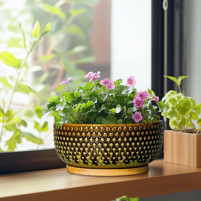 EPFamily Bonsai Pots 8 Inch - Ceramic Planter for Indoor Plants, Succulent Pots with Drainage Hole and Plant Tray, Modern Round Decorative Flower Planters, Home Decor, Brown & Green