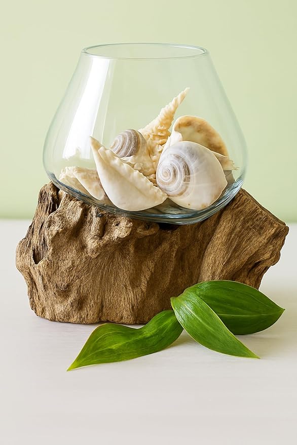 OMA Molten Glass on Driftwood – Hand-Blown Melted Glass Vase, Terrarium, or Planter for Coastal & Boho Home Décor (6"–7" High)