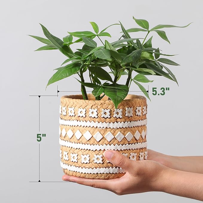vomiceak Concrete Rattan-Style Plant Basket Planter, 5.3" Plant Pots Indoor Outdoor with Drainage Hole, Boho Flower Pot for Succulents, Herbs, Modern Farmhouse Decor, Ideal Gift for Plant Lovers