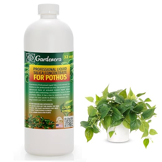 𝐏𝐑𝐎𝐅𝐄𝐒𝐒𝐈𝐎𝐍𝐀𝐋 Liquid Silica Plant Supplement - 32oz - POTHOS Plants Liquid Silica Boost Fertilizer - Stronger Stems & Healthy Leaves for Indoor & Outdoor Pothos Plants (Makes 180 Gallons)