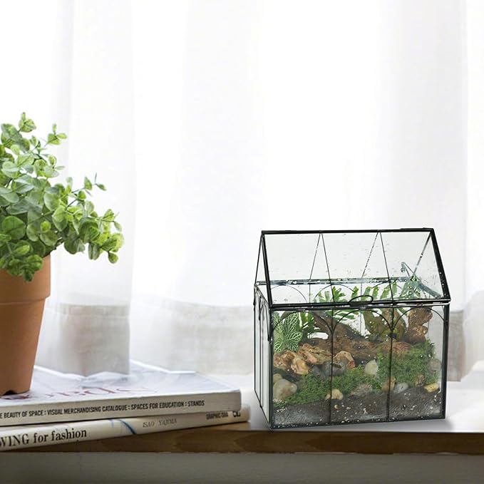 Ferrisland Glass Plant Terrarium Container Wardian Case Indoor Small Succulent Terrarium Planter W/Door for Tabletop Decor DIY (6" L x 4.3" W x 6.3" H)