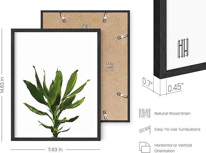 HAUS AND HUES Plant Wall Art - Set of 4 Green Plant Pictures Collection, Botanical Prints, Sage Green Leaves Paintings, Minimalist Wall Decor (11x14, Black Frame)