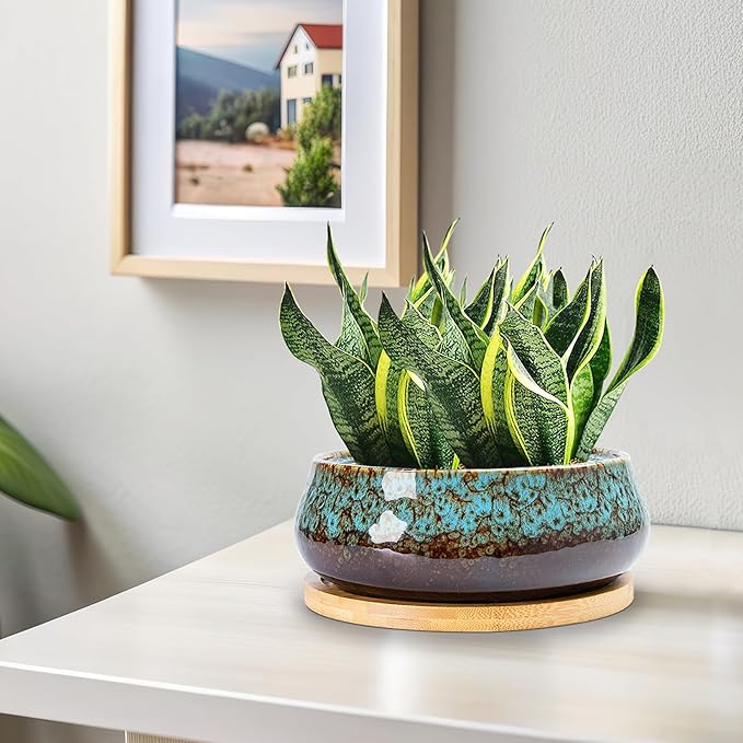 ARTKETTY Succulent Pots - 8 Inch Plant Pot, Large Bonsai Pots with Drainage Tray, Ceramic Planters for Indoor Outdoor Plants, Round Shallow Cactus Flower Plant Container Bowl Decorative Home Garden