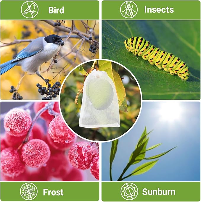 Fruit Protection Bags for Fruit Trees, 50pcs 6x10 Inch Nylon Mesh Garden Netting Bags Against Bugs Birds Squirrels, Cover Plants Flowers