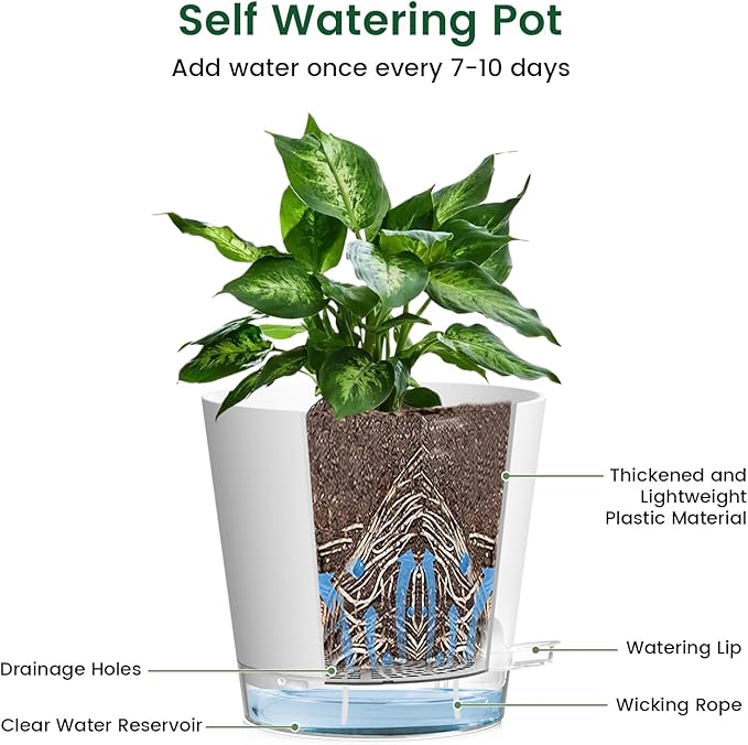 Meowell 6 inch Self Watering Pots for Indoor Outdoor Plants, 6 Pack Flower Plant Pots with Drainage Holes and Clear Reservoirs, Visible Water Level, Plastic Planters with Wicking Rope, White
