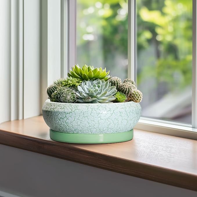EPFamily Bonsai Pots - 10 Inch Ceramic Succulent Pot with Drainage Hole and Plant Saucer, Succulent Planters for Indoor Outdoor, Round Planter Bowl, Shallow Planter, Home Decor, Gardening Gift, Green