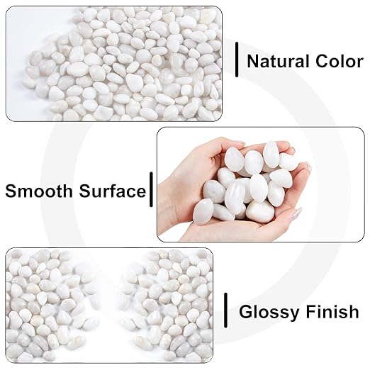 Lechloris 10LB White River Rock- High Polished Pebbles for Indoor Plants- Decorative Stones for Aquarium Fish Tank - White Rocks for Outdoor Garden Landscaping - 0.3"-0.8"