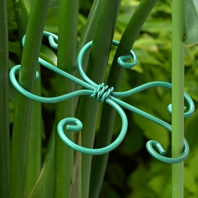 5PCS Monstera Plant Support Hook - 4.1 * 4.4IN, Durable Flexible Stabilizers for Indoor Plants, Metal Stem Supports and Leaf Holders, Easy Tool-Free Operation, Ideal for Fishbone Cactus Care