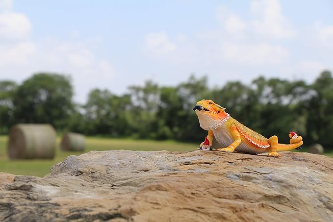 Mischievous Bearded Dragon Gnome - Funny Realistic Unique Garden Gnomes Massacre - Great Gardening Reptile Lizard Beardie Statue Figurine Decoration - Knome Lawn Ornament Figure Sculpture - 11"