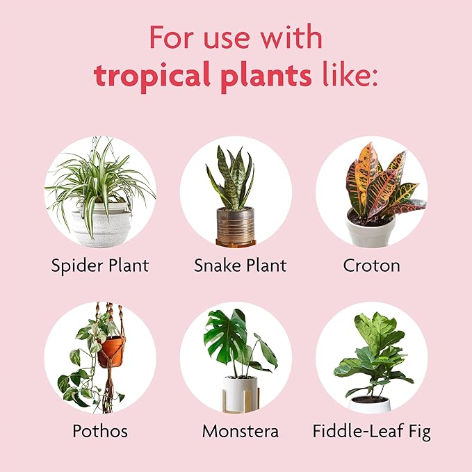 Miracle-Gro Tropical Potting Mix, for Container Plants, Use with Snake Plants, Spider Plants, Pothos, Monstera, 6 qt., 12-Pack