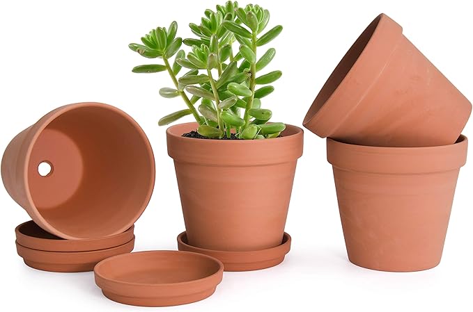 D'vine Dev Terracotta Pots Set, 6-Inch Terra Cotta Pots with Saucers & Tray, Ideal for Plants & Succulents