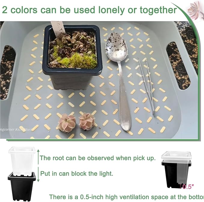 Gyfofix 2 Inch Square Plant Nursery Pots (Black+Clear),50Pcs Seedling Planter Seed Starter Pots,Sturdy Small Plastic Pots with Drainage Holes