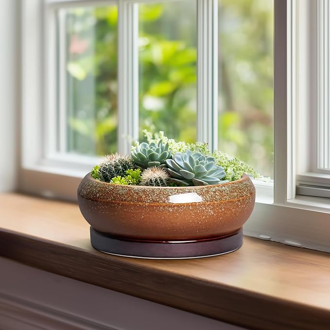 EPFamily Bonsai Tree Pots - 8 Inch Ceramic Succulent Planter Indoor Outdoor, Bonsai Pots with Drainage Hole and Saucer, Shallow Plant Pots, Round Planters, Kitchen Decor, Gifts for Women, Retro Brown