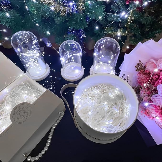 10 Pack Fairy Lights Battery Operated String Lights, 10 LED on 3.3ft Silvery Copper Wire，for Flowers Gift Box Wedding Party Christmas Decoration (10 Pack, Cool White)