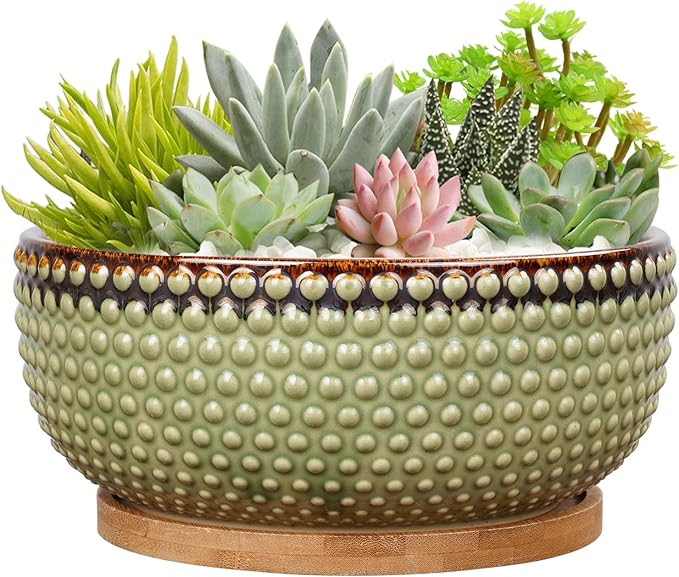 EPFamily 8 Inch Ceramic Succulent Shallow Planter Pot with Drainage Hole and Saucer Beaded Stoneware Planter for Indoor Plants Green