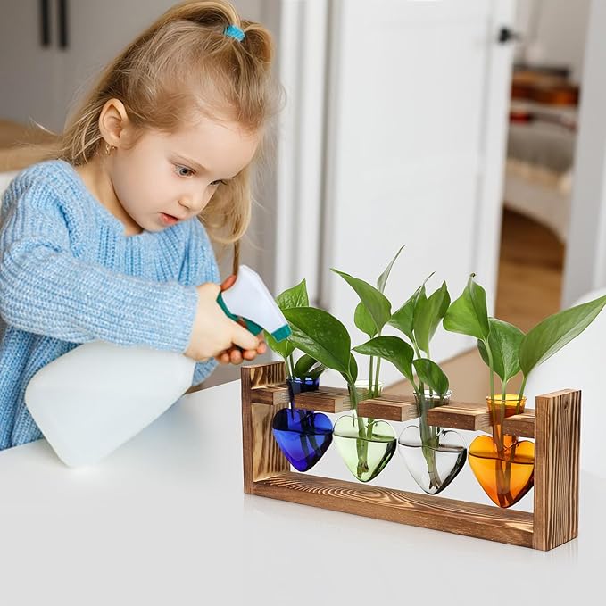 CYZglass Plant Propagation Stations Heart Plant Terrarium Kit Gift for Women Plant Lover Glass Vases