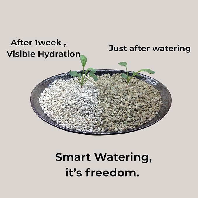 Crystal Grain Succulent & Cactus Soil Mix, Fine Grain for Small Pots, 100% Inorganic & Odorless, Visible Watering Indicator, Patented Japanese Tech, 2L (Resealable Bag)