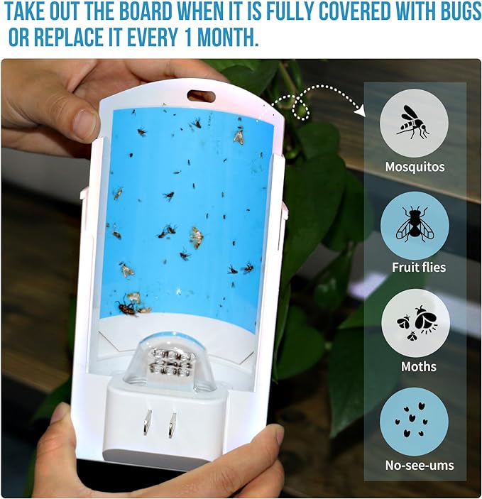 2 Flying Insect Trap & 8 Refills, Plug in Fruit Fly Traps for Indoors, Bug Catcher for Mosquitoes, Moths, Fruit Flies, Gnat Traps for House Indoor | Safe Blue & UV Light Attraction