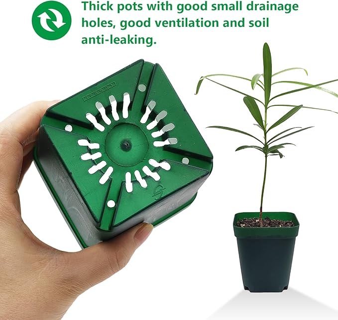 RooTrimmer Square Seedling Nursery Pots 3.15 Inches 100 Pcs for Small Succulents or Cacti Flower Plastic Pots Sturdy Reusable (Green, 3.14Inches,100Pcs)
