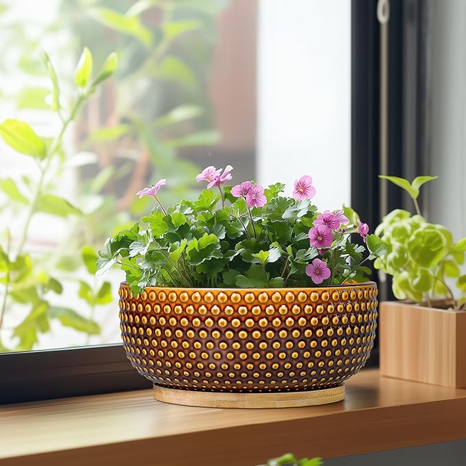 EPFamily Bonsai Pots - 8 Inch Succulent Bowl for Indoor Plant, Shallow Round Ceramic Planters with Drainage Hole and Saucer, Boho Home Room Office Apartment Decor, Plant Lovers Gifts, Brown