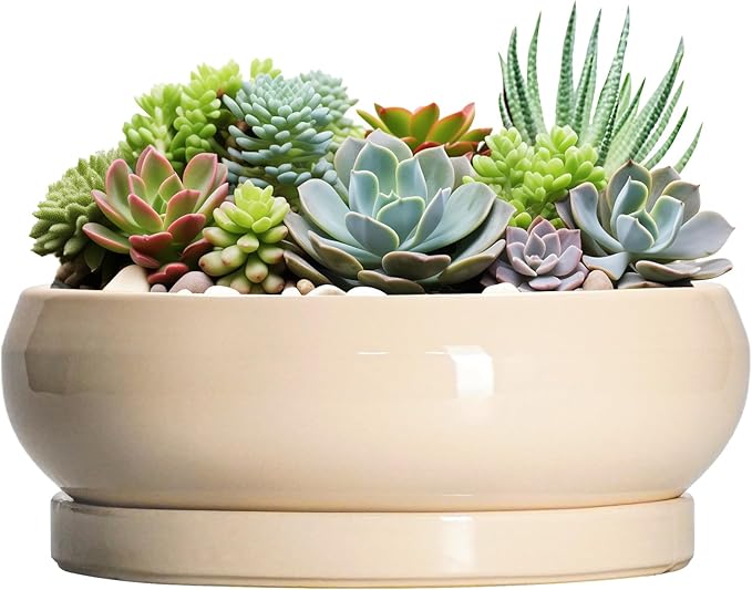 EPFamily Large Succulent Planters - 13 Inch Ceramic Bonsai Pots Indoor Outdoor, Shallow Planter with Drainage Hole and Tray, Round Planter Bowl, Large Bonsai Pot, Home Decor, Housewarming Gift, Beige