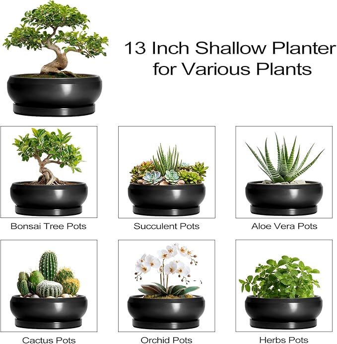 EPFamily Bonsai Pots 13 Inch - Large Ceramic Succulent Pots with Drainage Hole and Tray, Round Planter Bowl Indoor Outdoor, Modern Shallow Planters, Home Living Room Decor, Gardening Gifts, Black