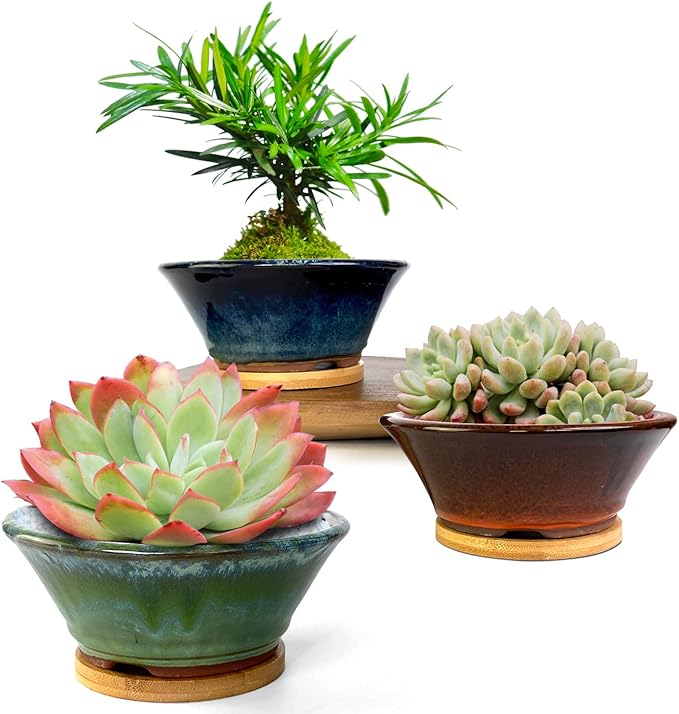 Summer Impressions 6 Inch Glazed Terracotta Succulent Pot Planter Small Plant Pot with Drainage Hole and Bamboo Saucer Cactus Ceramic Pot Set of 3 (Blue Green Orange)