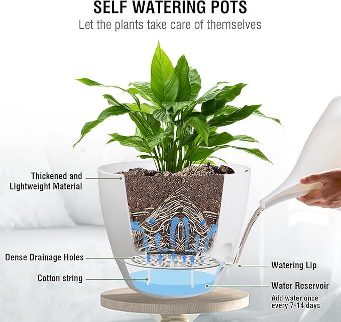 Meowell 10 inch Self Watering Hanging Planters, 2 Pack Hanging Flower Pots for Indoor Outdoor Plants, Hanging Baskets with Drainage Holes & 2 Kinds of Plant Hangers for Garden Home Decor, White