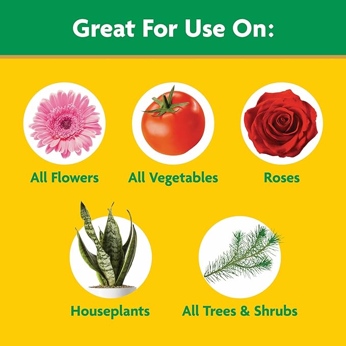 Miracle-Gro Water Soluble All Purpose Plant Food,Plant Fertilizer for Indoor or Outdoor Plants,Roses,Flowers,Houseplants,Vegetables and Trees,10 lb.,(Pack of 4)