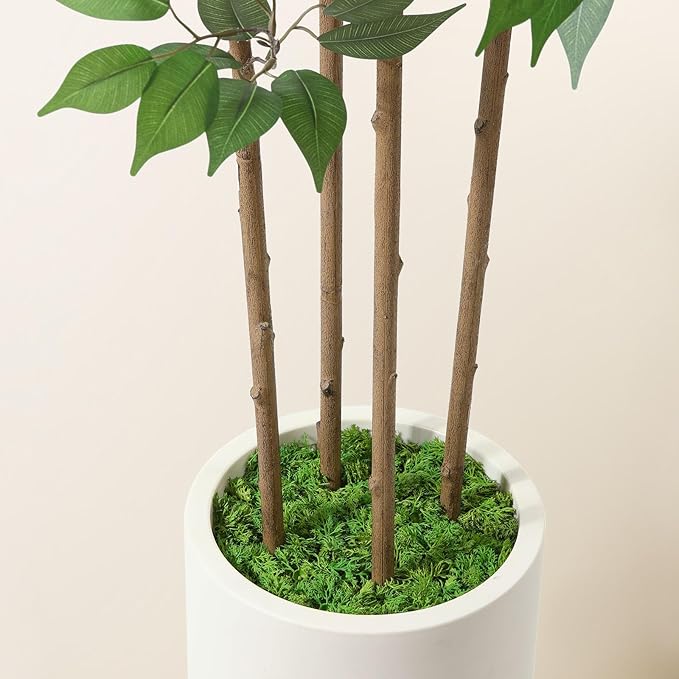 SOGUYI Ficus Artificial Tree 6ft Fake Silk Plant for Home Decor Indoor, Faux Floor Tree in White Imitation Ceramic Planter with Green Fake Moss for Home Office Corner Indoor Decor, Set of 1